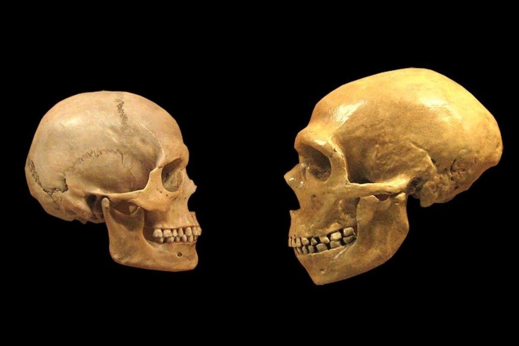 Pronađen je najstariji trag prelaska neandertalaca i Homo sapiensa: lubanja djeteta koje je živjelo prije 140.000 godina.