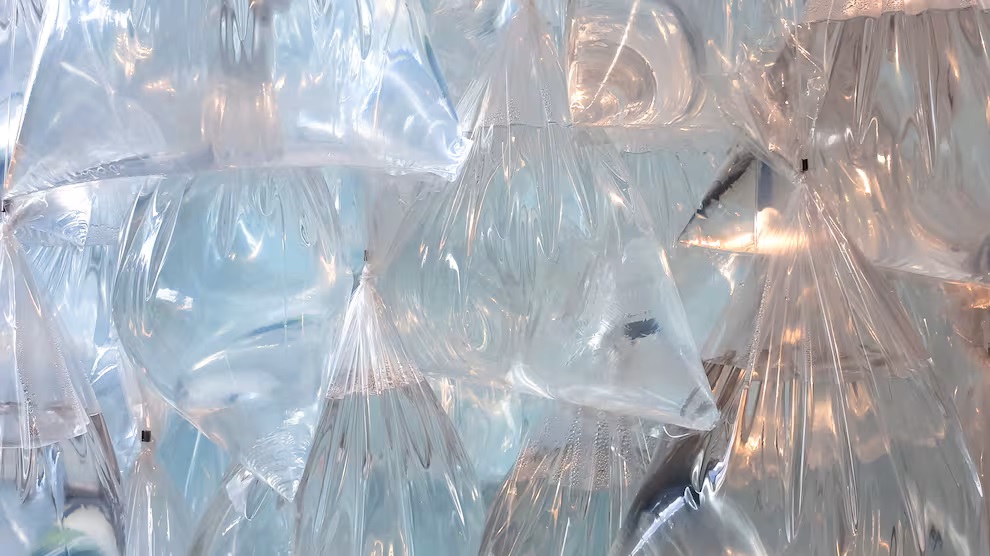 Napunite plastičnu vrećicu vodom, stavite nekoliko kovanica u nju, objesite na prozor i dobijte izum godine
