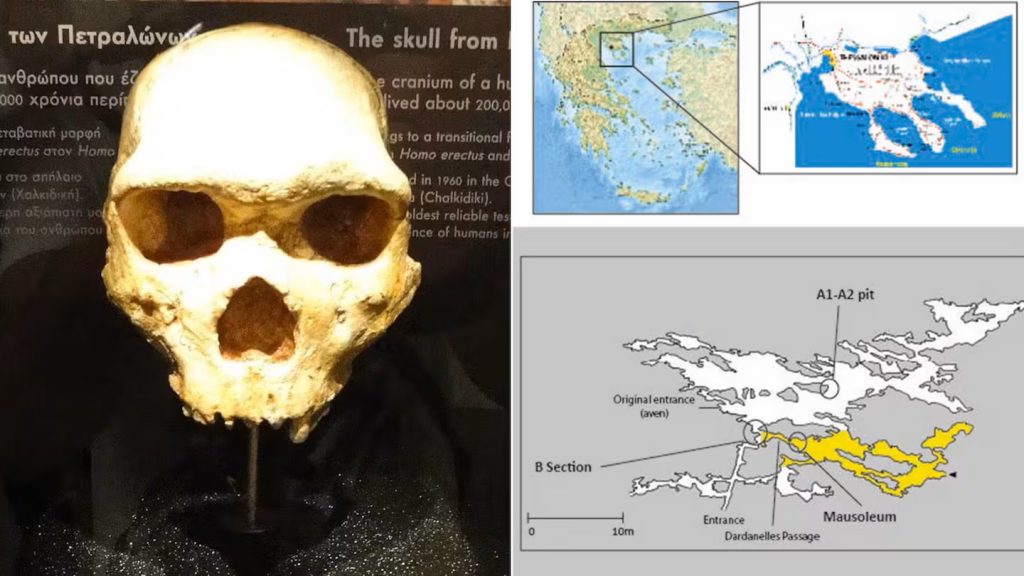 Lubanja od 300 000 godina može promijeniti povijest: Ni čovjek ni neandertalci ne pripadaju