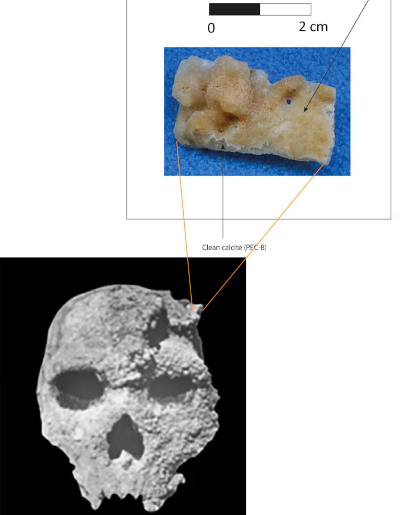 Lubanja od 300 000 godina može promijeniti povijest: Ni čovjek ni neandertalci ne pripadaju