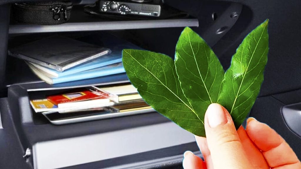 Zašto stavljati lovorov list u auto