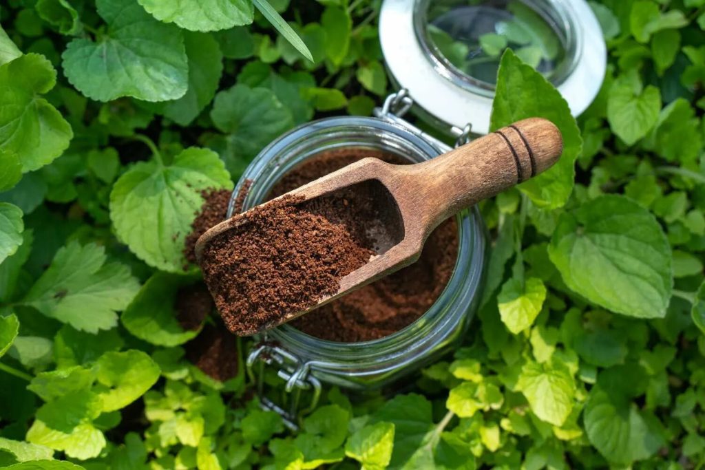 ANTHOLE RAID U kolovozu i rujnu? Prirodni i ekonomski načini zaštite vrta i postavljeni bez pesticida