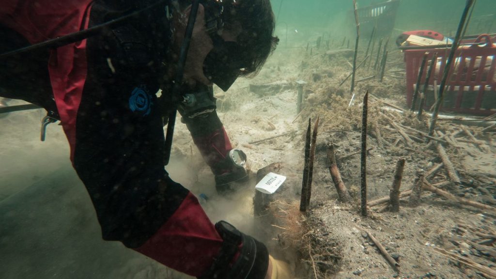 Potonuli su u blizini obale, a slučajno su se u oceanu pojavili potonulo naselje iz kamenog doba.