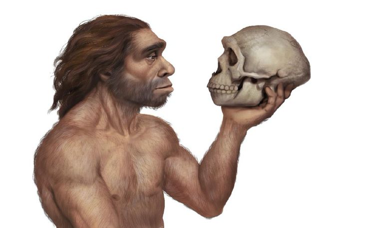 Otkriće koje se tiče evolucije Homo sapiensa potvrđuje da su naši palci igrali odlučujuću ulogu u razvoju mozga