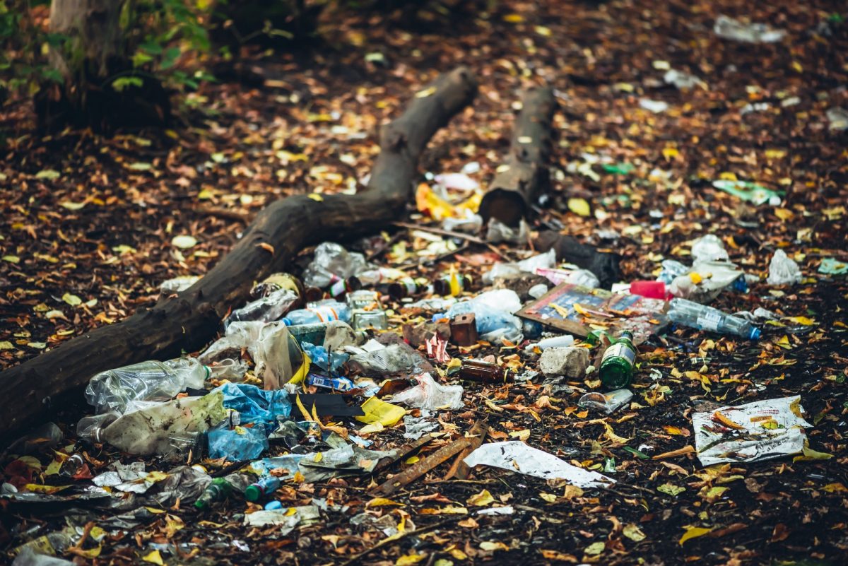 Novo njemačko istraživanje pokazalo je da nakon desetljeća „plastične kiše“, šume sada pohranjuju do milijun mikroplastike po četvornom metru.
