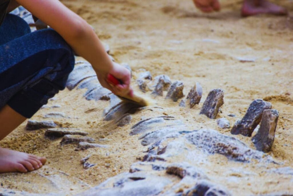 Pronađeni fosilizirani ostaci sile da prepišu povijest dinosaura: to je bila neočekivana hijerarhija grabežljivca