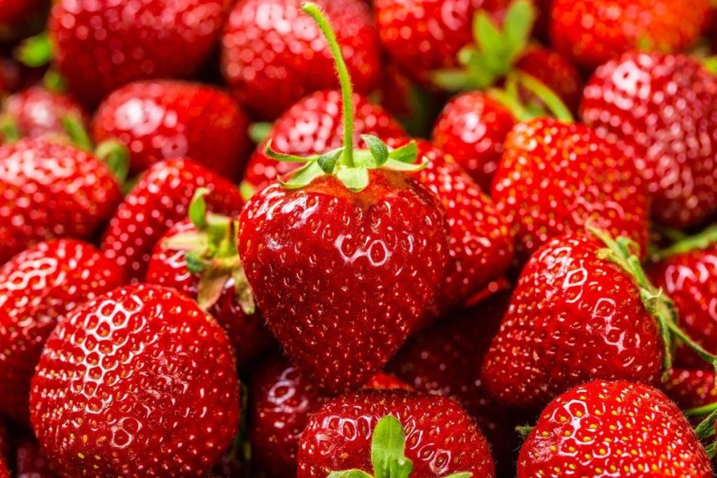 Slobodne jagode: Tajna obraćenja zaboravljenih kreveta i stavlja u super -produktivni okomit vrt.