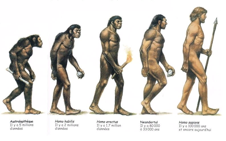 Otkriće koje se tiče evolucije Homo sapiensa potvrđuje da su naši palci igrali odlučujuću ulogu u razvoju mozga