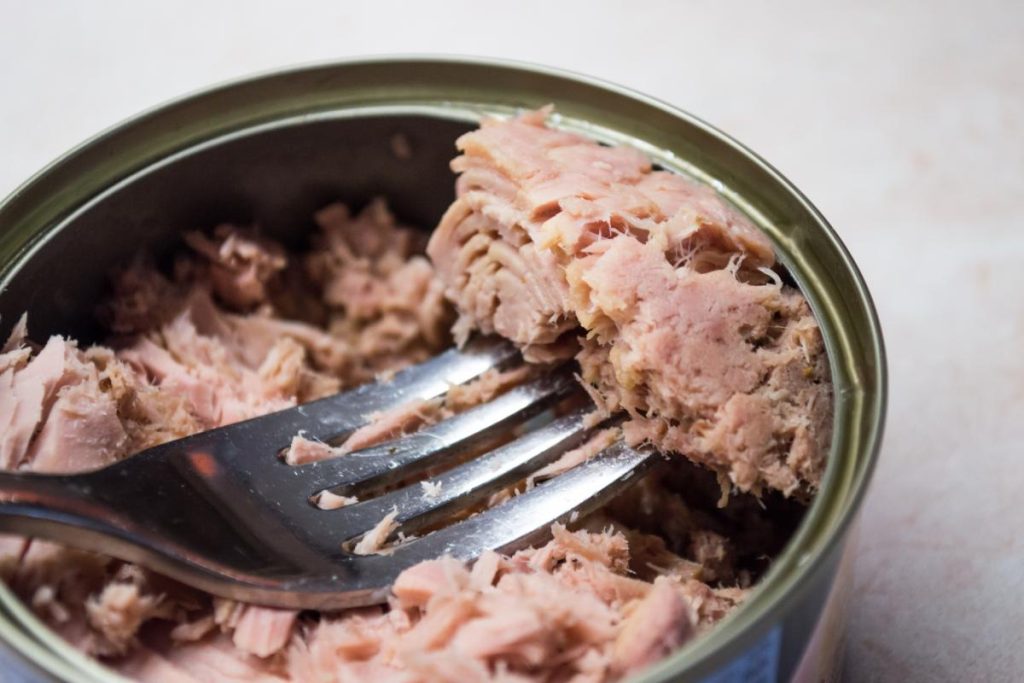 Stručnjak navodi koliko limenki od tuna u tjednu treba jesti odraslu osobu kako bi premašio količinu žive koja se smatra sigurnom.